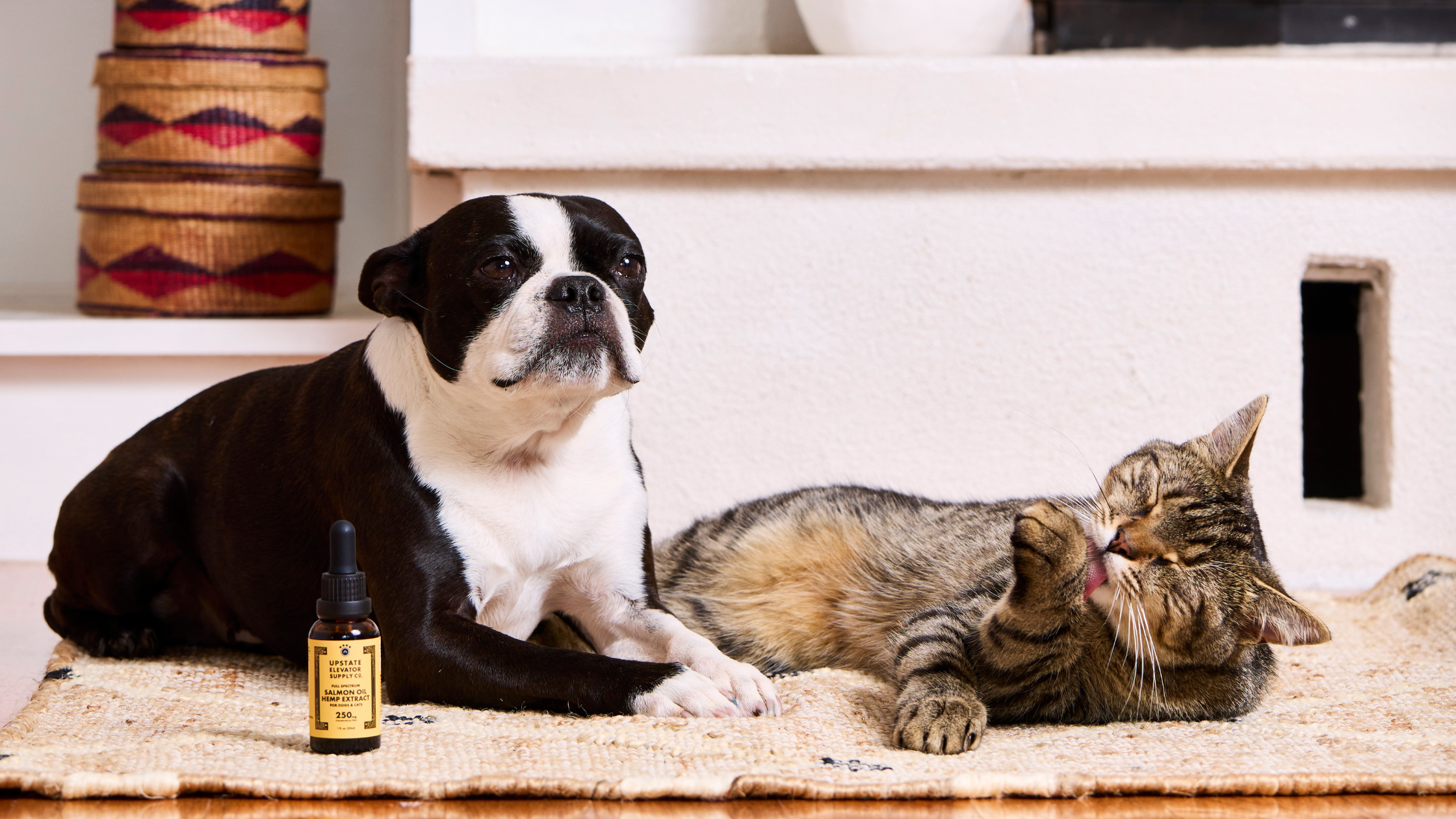 3 Ways Our CBD Pet Products Benefit Your Furry Friends