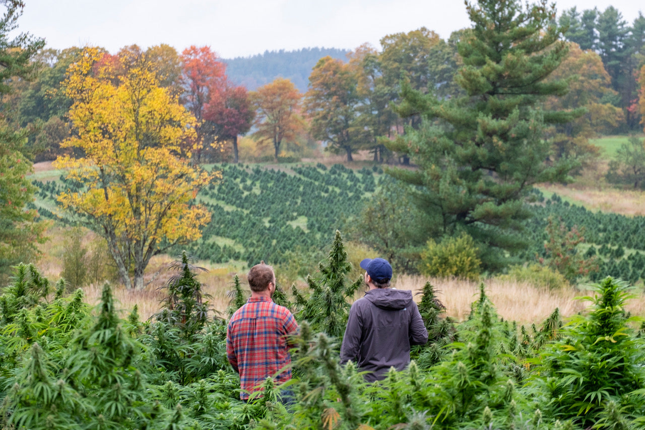 Know Your Farmer: Pete's Greens