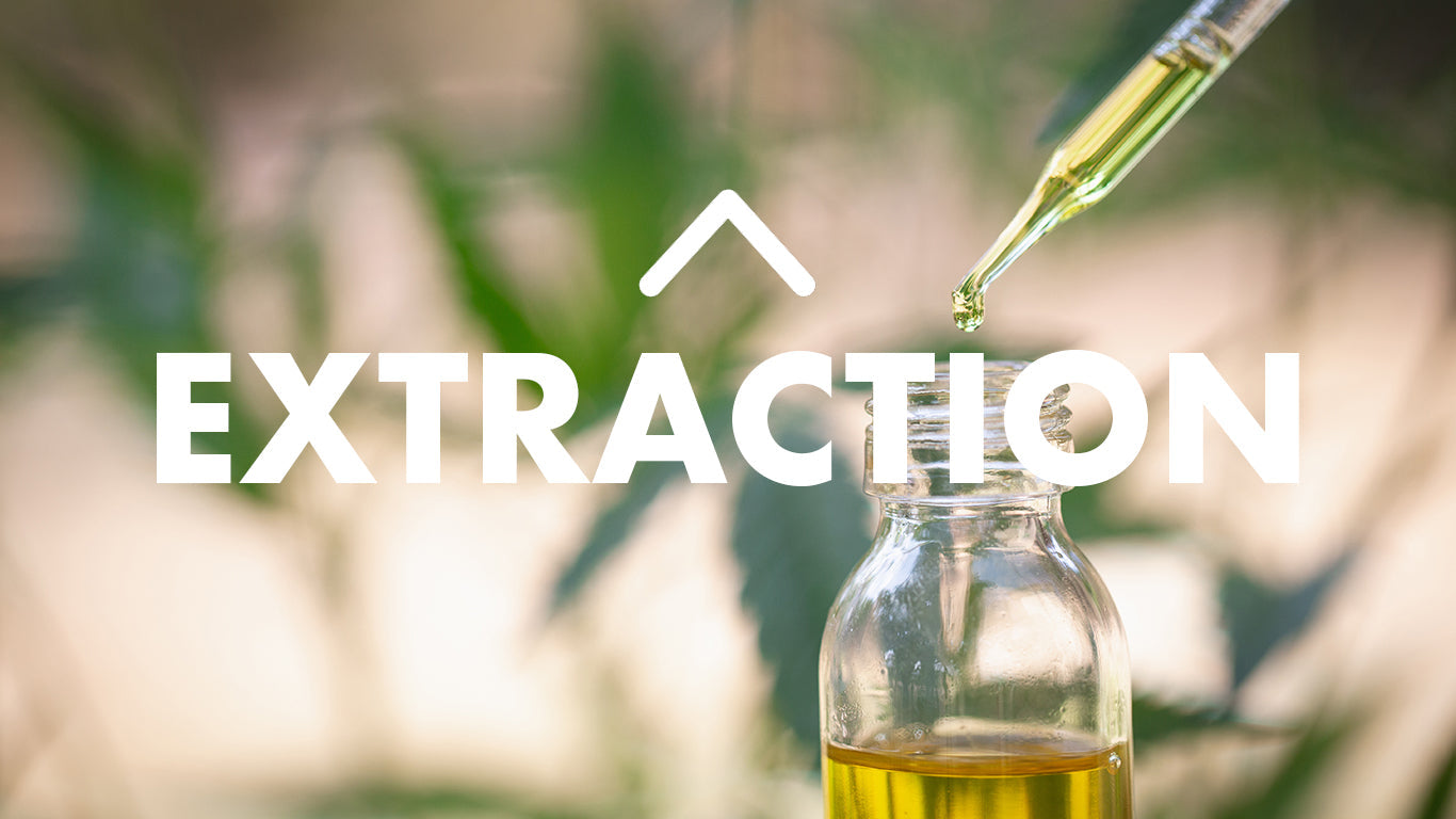 CBD extracton methods