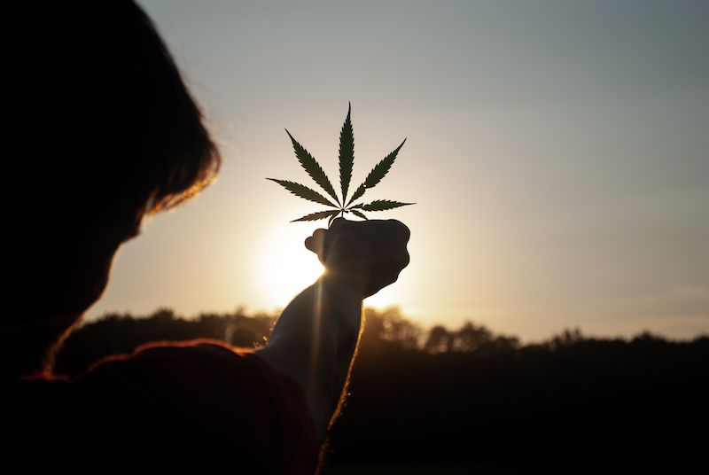 Full Spectrum CBD