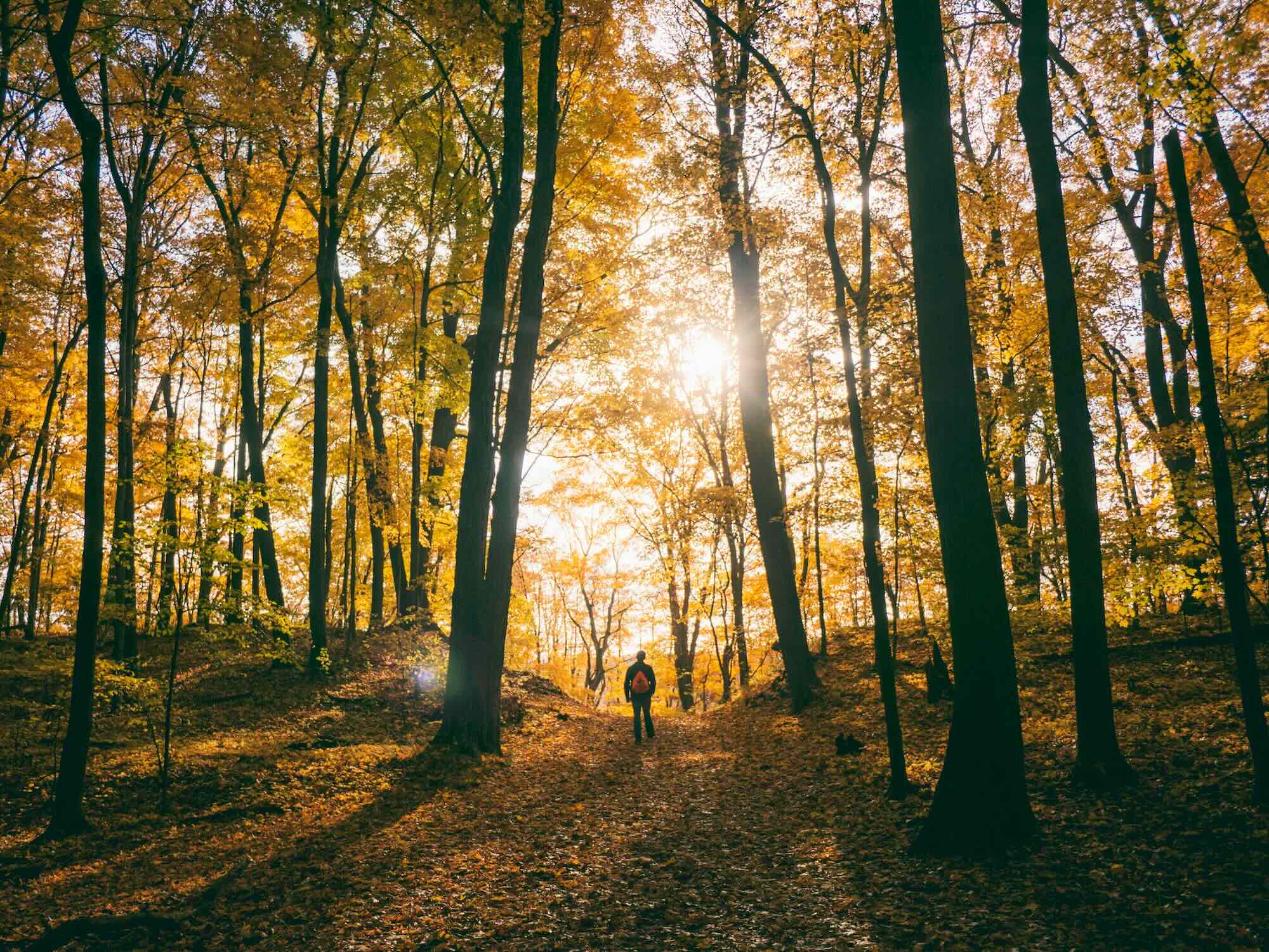 10 ways to support your mental health