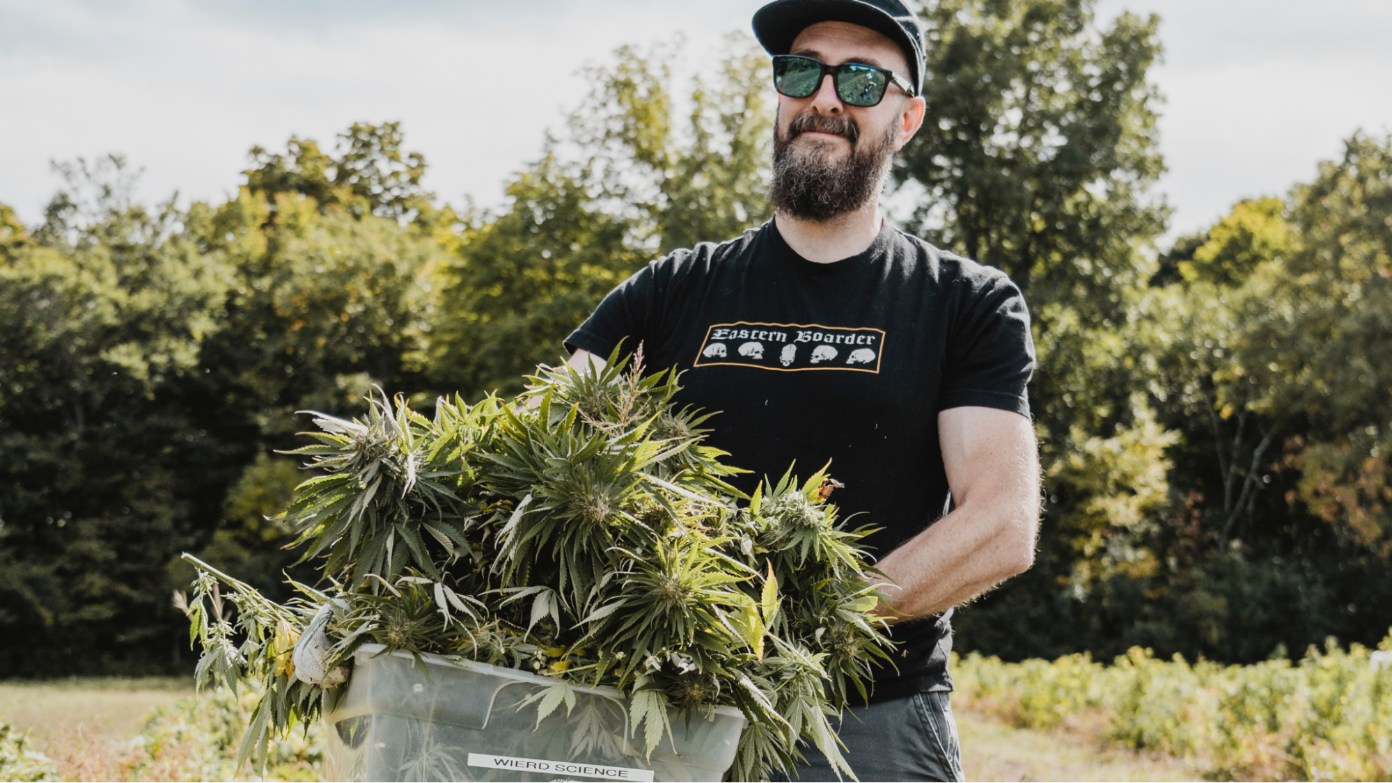 All About Organic CBD &amp; Hemp in Vermont