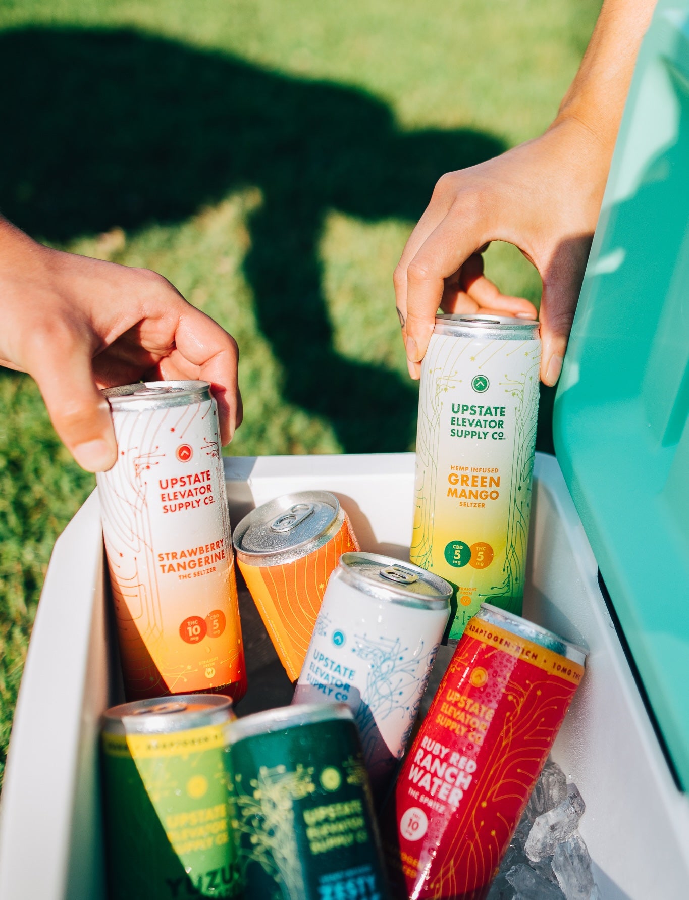 Hands grabbing Upstate Elevator CBD seltzers from a cooler, including strawberry tangerine and green mango flavors