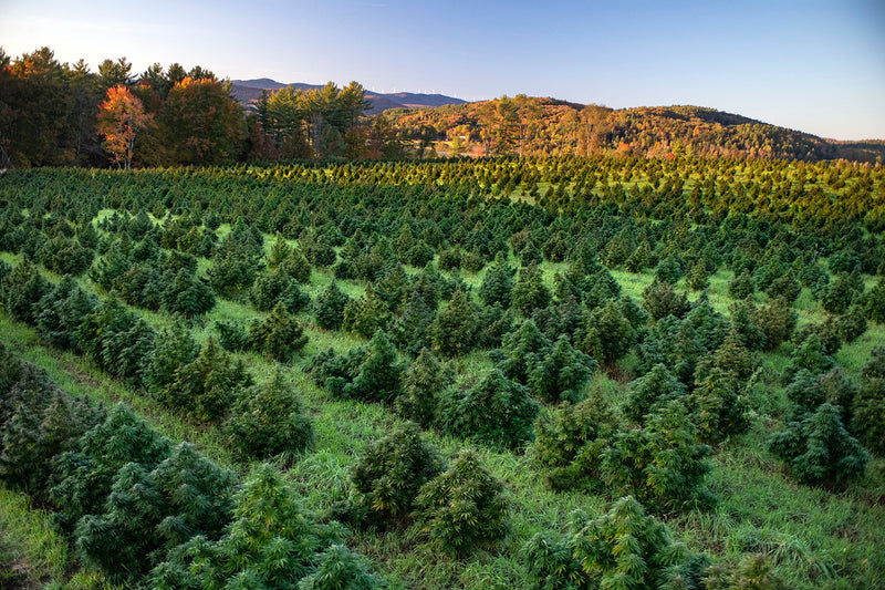  Vermont Farmers